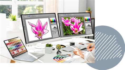 Image result for Codex Design