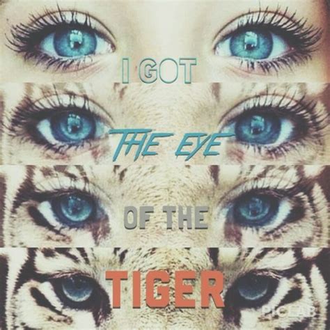 Got the eyes of a tiger ♡ | Katy perry, Katy, Lyric quotes