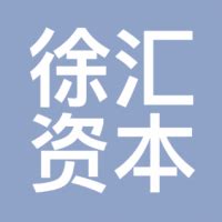 上海徐汇资本投资有限公司 - 爱企查