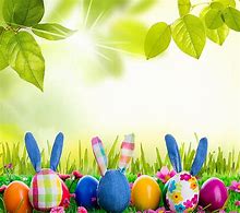 Image result for Desktop Wallpaper Spring Bunnies