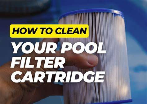 How to Clean Pro Clean Plus Pool Filter 的图像结果