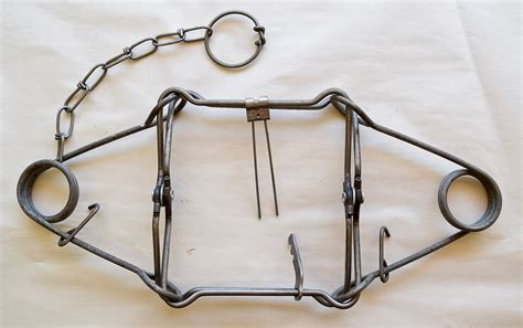 Body Grip Trap Modifications 的图像结果