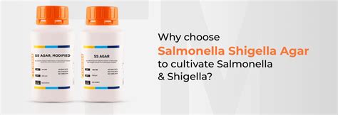 Why Do We See Different Colours in Differential Media Plates?