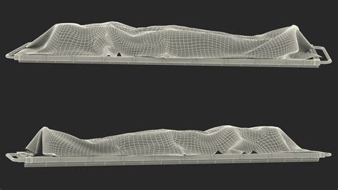 Dead Body Of Woman Covered with White Sheet 3D Model $49 - .usdz .3ds ...