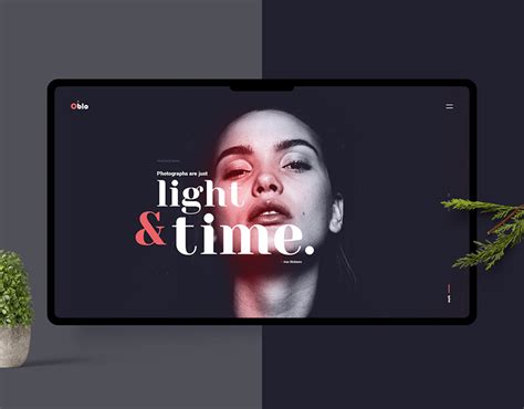 WebDuck 的图像结果