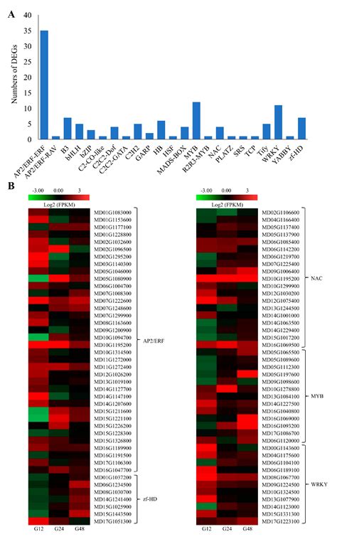 Transcriptome Analysis of Apple Leaves in Response to Powdery Mildew ...