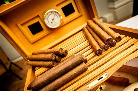 Image result for Humidor How to Use