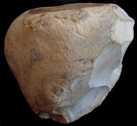 Stone Age History 的图像结果