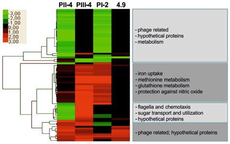 Asymtomatic Bacteriuria as a Model to Study the Coevolution of Hosts ...