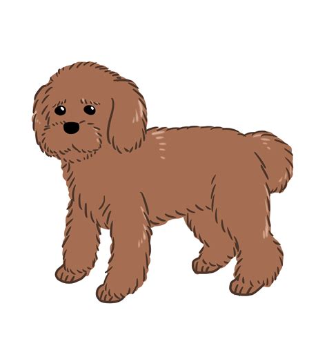 Image result for Cockapoo ClipArt