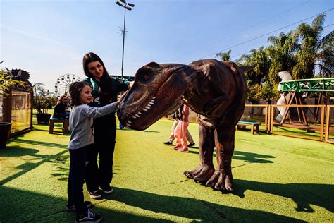 T-REX PARK - T-Rex Park