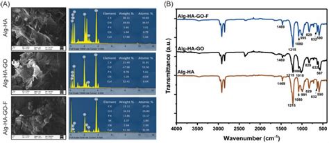 Fucoidan-Incorporated Composite Scaffold Stimulates Osteogenic ...