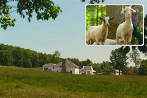 For 2 Fun Fall Festivals this Weekend, Head to the Catskills