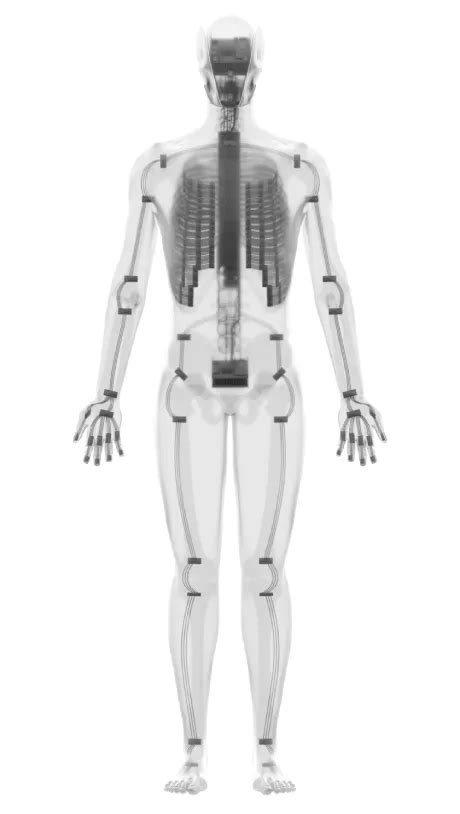 Image result for Artificial Muscle Android