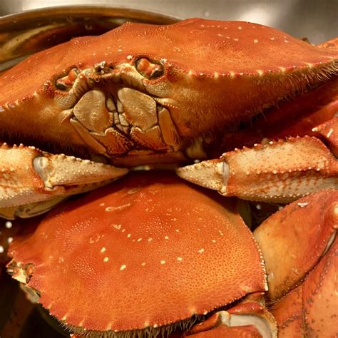 Whole Dungeness Crab Recipe – Washington Sea Grant