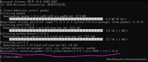 Install Pandas Python 3.10 的图像结果