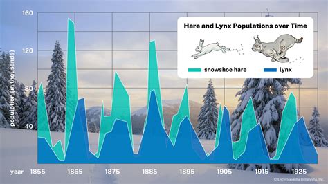 Zero Population Growth Definition