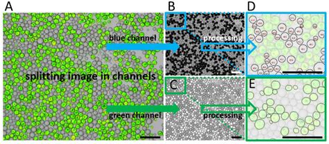 Processes | Special Issue : Emulsification Processes