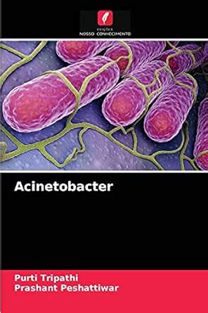 Buy Acinetobacter Book Online at Low Prices in India | Acinetobacter ...