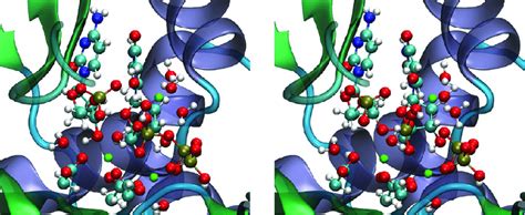Bildergebnis für active site