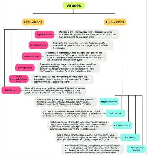 Image result for Viruses Explained