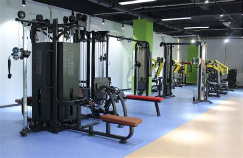 Multi Gym Equipment Manufacturers in India | 9316970498