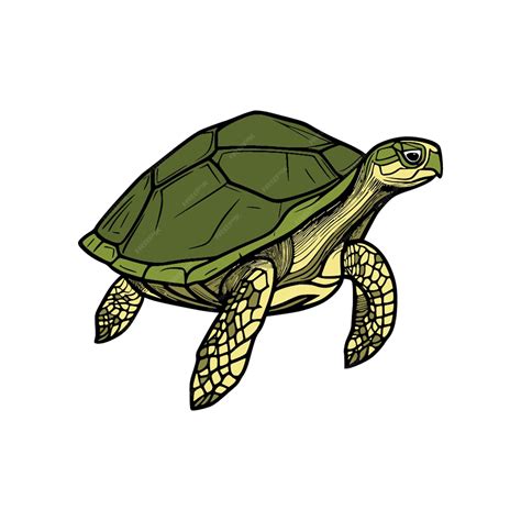 Image result for VB6 Turtle Graphics