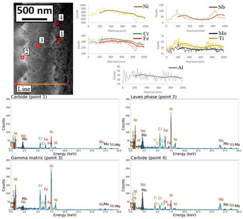 Texture and Microstructural Features at Different Length Scales in ...