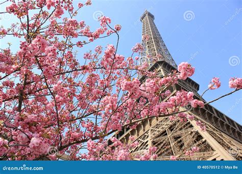 Paris, France - Eiffel Tower at Spring Stock Photo - Image of capital ...