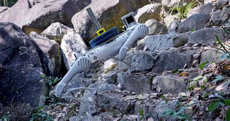 UniTree B2 Robot 的图像结果