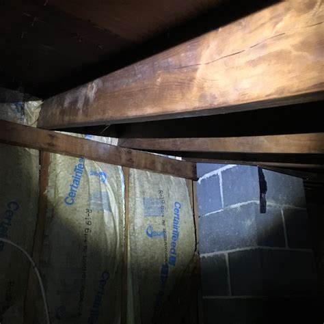 Mold On Floor Joists In Basement - Flooring Tips
