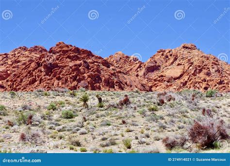 Calico Basin, Red Rock Conservation Area, Southern Nevada, USA Stock ...
