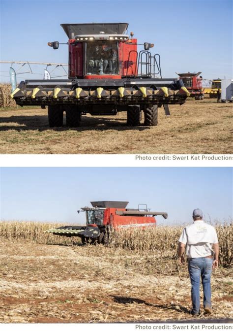 Class Combines 的图像结果