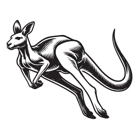 Kangaroo Vector Illustration in black and white Kangaroo Outline Clipart Design | Premium AI ...