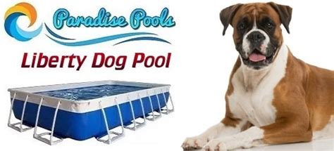 Image result for Dog Diving Platform