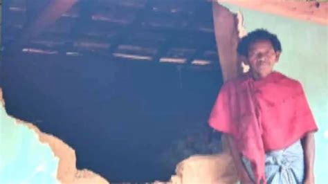 Man-Animal Conflict: Elephant Herds Damage Crops, Houses In Odisha ...