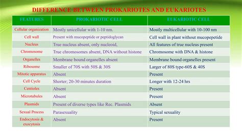 Image result for Structural Unit