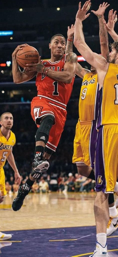 Nba罗斯 的图像结果