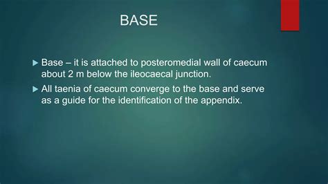 Image result for Appendix Section