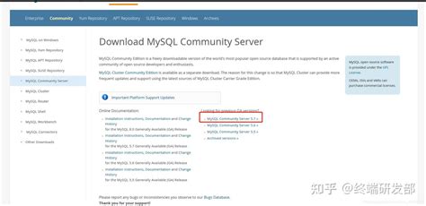 MySQL 5.1 Download 的图像结果