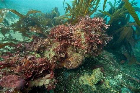 Image result for Point Conception Model