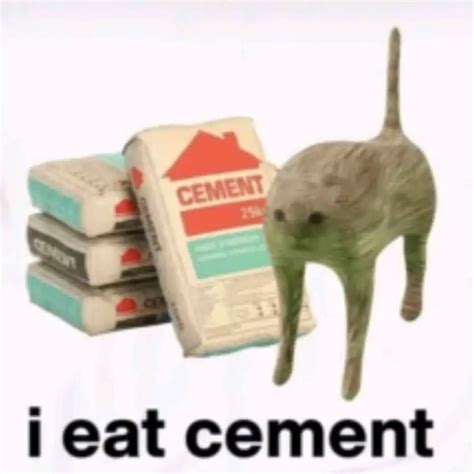 Cement en 2025 | Imagenes de gatos bonitos, Meme gato, Humor de animales
