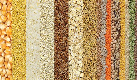 Bahuvida Limited | an Integrated Agribusiness Company | Agro ...