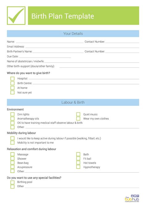 47+ Printable Birth Plan Templates [Birth Plan Checklist] - Template Lab