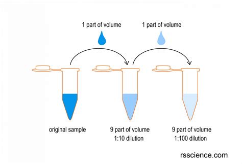 How to Use a Hemocytometer to Count Cells - Rs' Science