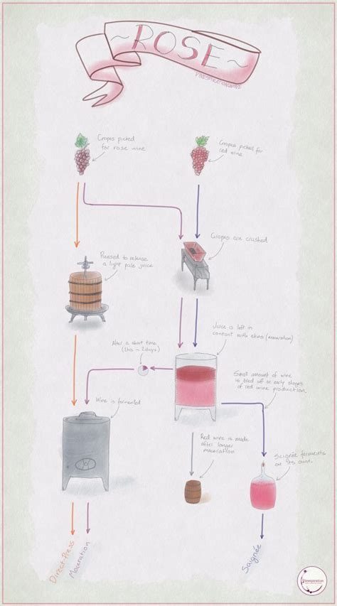 Wine Making Process 的图像结果