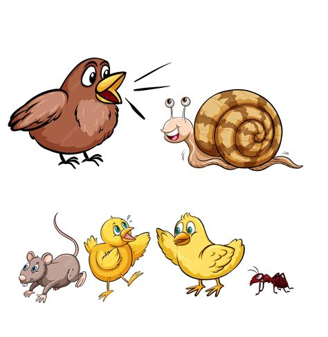 Image result for Talking Animals Compilation