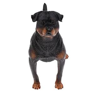 Buy Enakshi Realistic Simulation Rottweiler Dog Pet Animal Model Action ...