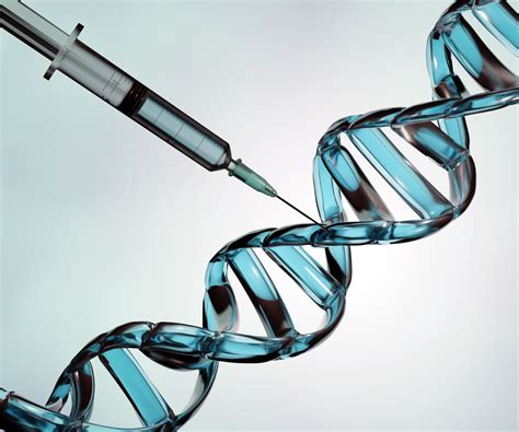 New Gene Therapy Approach Shows Promise for Duchenne Muscular Dystrophy ...