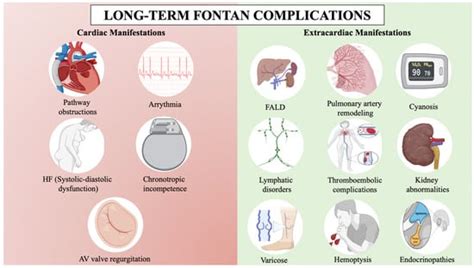 Advances in Diagnostic and Interventional Catheterization in Adults ...